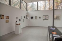 Noć muzeja 2017. – muzeji bolnice Vrapče