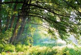 Izložba fotografija u galeriji „Slava Raškaj“
