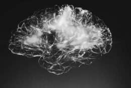 Bolji pogled na gensku ekspresiju u mozgu osoba s bipolarnim poremećajem