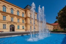 Poziv na predavanje ’’Specifičnosti terapijskih programa u očuvanju mentalnog zdravlja mladih’’