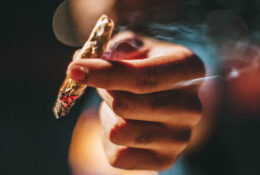 Uporaba kanabisa kod mladih povezana s jačom anksioznošću i lošijim pamćenjem